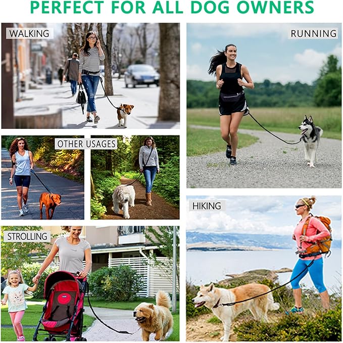 LANNEY Hands Free Dog Leash, Waist Running Leash with Zipper, Walking Pouch for Medium Large Dogs, Dual Handle and Retractable Bungee for Training Jogging Hiking(25-120 lbs, Teal)