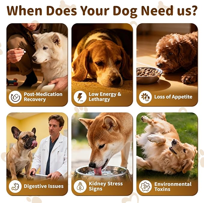 Milk Thistle for Dogs – 9-in-1 Liver and Kidney Support Drops with Artichoke, Resveratrol, Marigold Extract, 100% Natural Detox Supplement for Liver Function, Split Dropper, Bacon Flavor, 2Oz