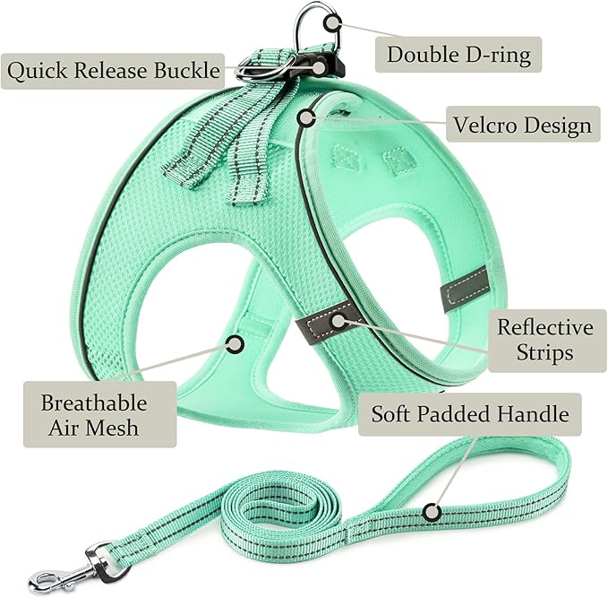 Dog Harness with Leash Set, No Pull Adjustable Reflective Step-in Puppy Pet Vest Harnesses for Small Medium Large Dogs and Cats,Green XL