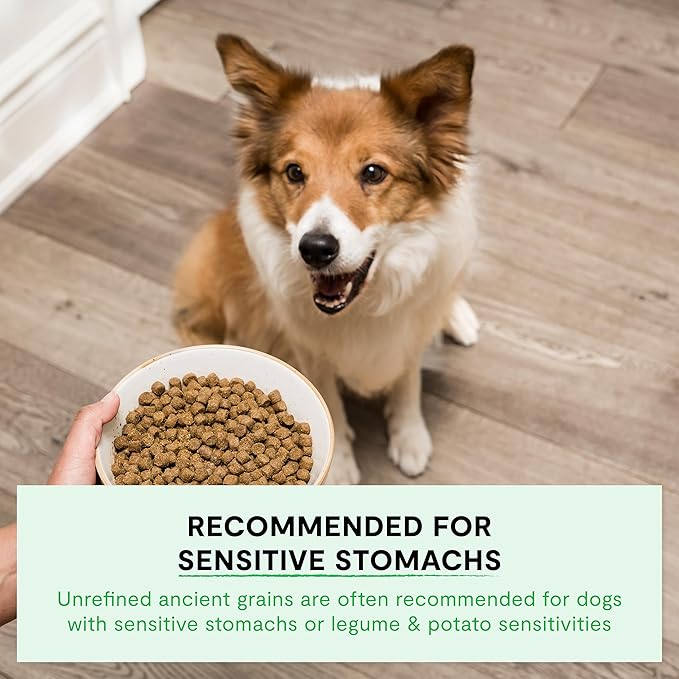 Open Farm, Ancient Grains Dry Dog Food, Protein-Rich & Nutrient Dense, 90% Animal Protein Mixed with Non-GMO Fruits, Veggies and Superfoods, Farmer's Table Pork Recipe, 22lb Bag