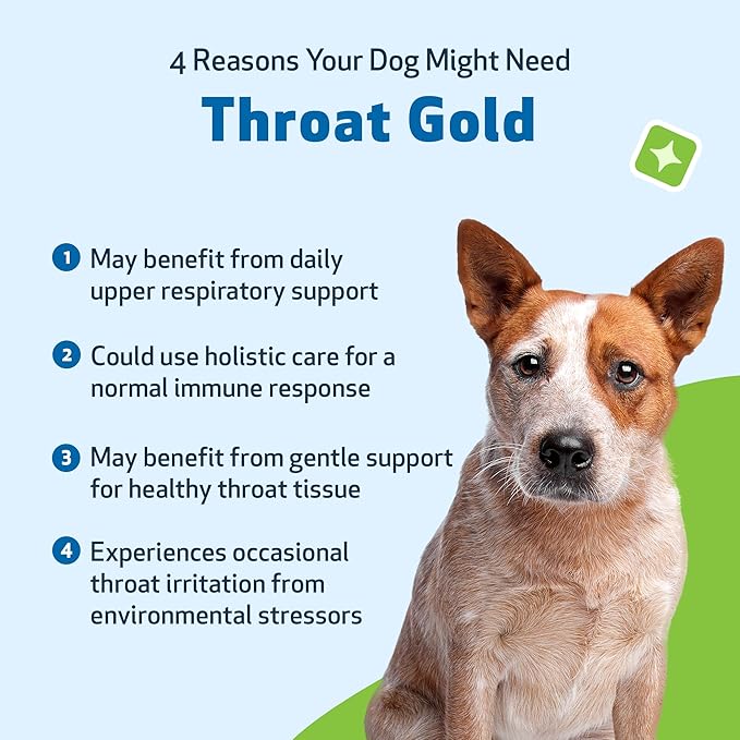 Pet Wellbeing Throat Gold for Dogs - Supports Collapsed Trachea & Throat Discomfort with Mullein & Slippery Elm for Kennel Cough - NASC Certified & Vet-Formulated 4 oz Liquid Formula