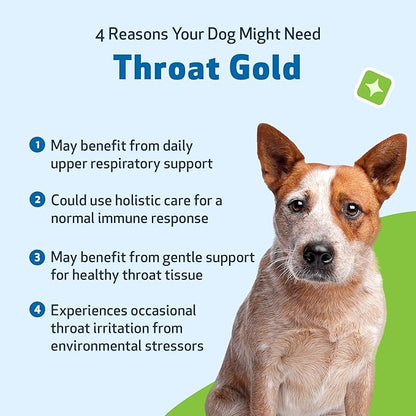 Pet Wellbeing Throat Gold for Dogs - Supports Collapsed Trachea & Throat Discomfort with Mullein & Slippery Elm for Kennel Cough - NASC Certified & Vet-Formulated 4 oz Liquid Formula