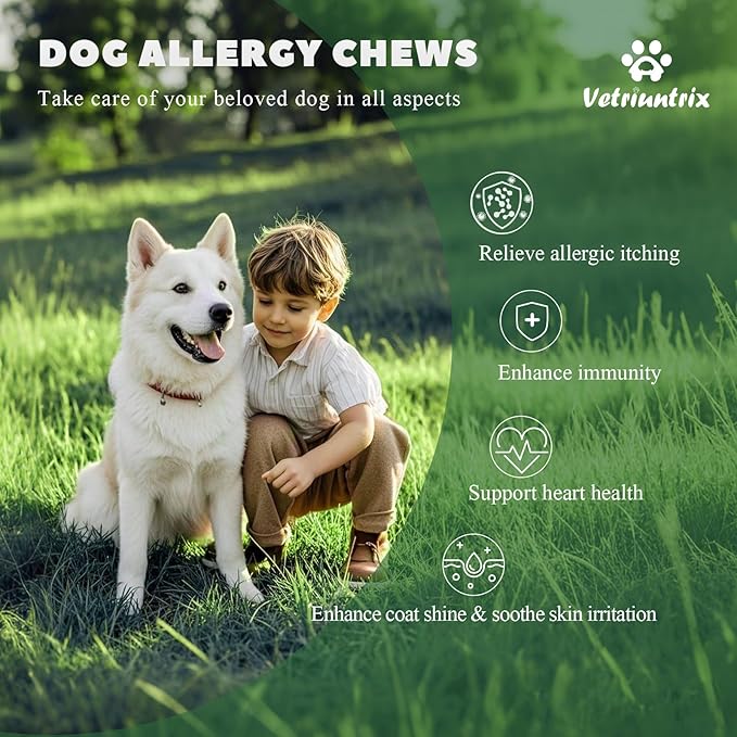 Dog Allergy Chews 200ct, Dog Allergy Relief Chews Coat Supplement for Itchy Skin Paw Licking, Probiotics for Large Dogs with Colostrum Omega-3 Turmeric Immune Supplement