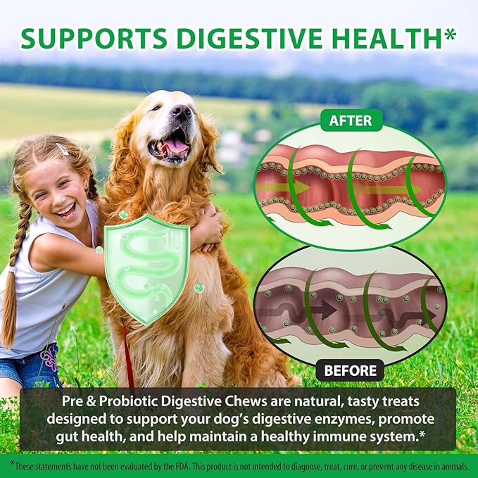 Dog Probiotic Chews, Duck Flavor Chewable Tablets for Dogs, Gut Health & Digestive Support with Probiotics & Prebiotics, Helps with Occasional Loose Stool, Gas & Sensitive Stomach, for All Breeds