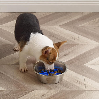Outward Hound Fun Feeder Stainless-Steel Slo Bowl for Dogs – Medium 2‑Cup Capacity, Slow Feeding, Removable Puzzle Maze, Non-Slip, Fits Raised Feeding Platforms