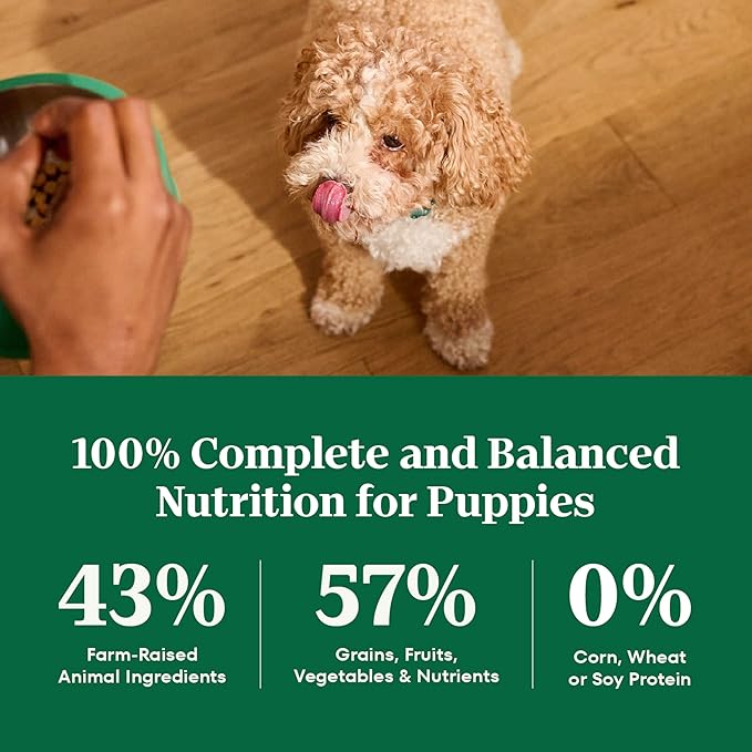 Nutro Natural Choice Dry Dog Food Large Breed, Puppy Food Dry Recipe, Chicken and Brown Rice Recipe, 30 lbs.