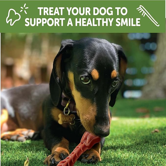 Wellness WHIMZEES Daily Brushzees Dog Dental Treat, VOHC Accepted Chews, Freshens Breath, Extra-Small Size, 7.4 oz Bag, 28 Count