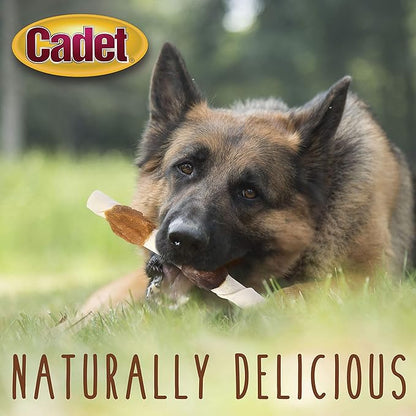 Cadet Gourmet Shish Kabob Dog Chews for Large Dogs, Rawhide Treats with Chicken and Sweet Potato, Healthy & Natural Beef Hide, 10-Inch Sticks, 2 Count