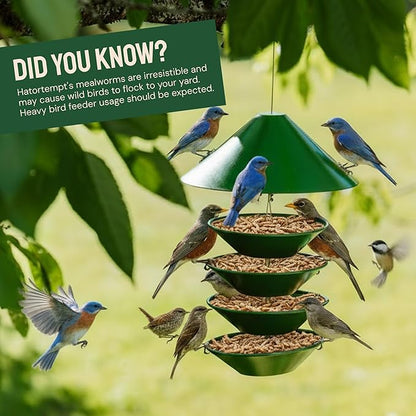 Hatortempt 1.8lb Dried Mealworms for Wild Birds - 50% Protein Meal Worms for Wild Birds - Attracts Bluebirds, Starlings, Wrens, Woodpeckers, Cardinals and Robins