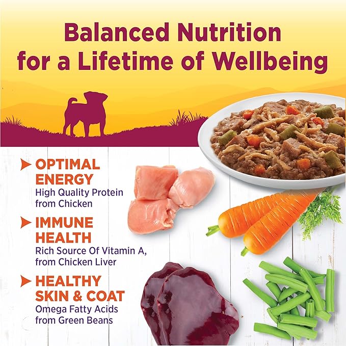 Wellness Petite Entrees Shredded Medley Small Breed Adult Wet Dog Food, Grain Free, Natural, Tender Chicken, Turkey, Carrots, and Green Beans, 3 oz, Pack of 12 Cups