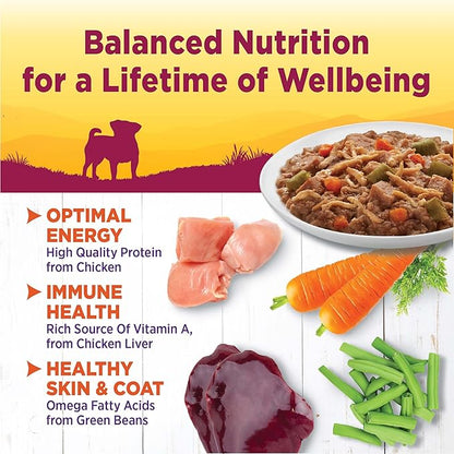 Wellness Petite Entrees Shredded Medley Small Breed Adult Wet Dog Food, Grain Free, Natural, Tender Chicken, Turkey, Carrots, and Green Beans, 3 oz, Pack of 12 Cups