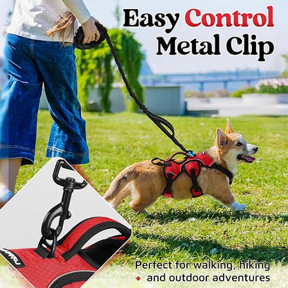 rabbitgoo Escape Proof Dog Harness, Soft Padded Full Body Pet Harness, Reflective Adjustable No Pull Vest with Lift Handle and Leash Clip for Large Dogs Walking Hiking Training, S, Red