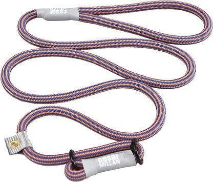 Cesar Millan Slip Lead Leash | Dog Leash | in Training Leash | (Regular, Blue/Orange)