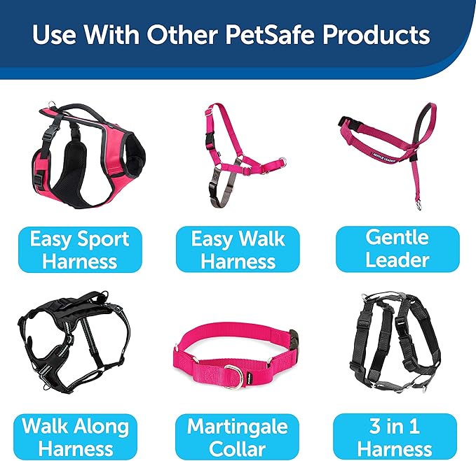 PetSafe Nylon Leash - Helps Maintain Secure Connection on Walks - Durable Pet Leash with Easy Clip - 3/4 in. x 6 ft. - Raspberry