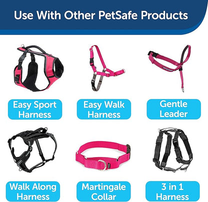 PetSafe Nylon Leash - Helps Maintain Secure Connection on Walks - Durable Pet Leash with Easy Clip - 3/4 in. x 6 ft. - Raspberry