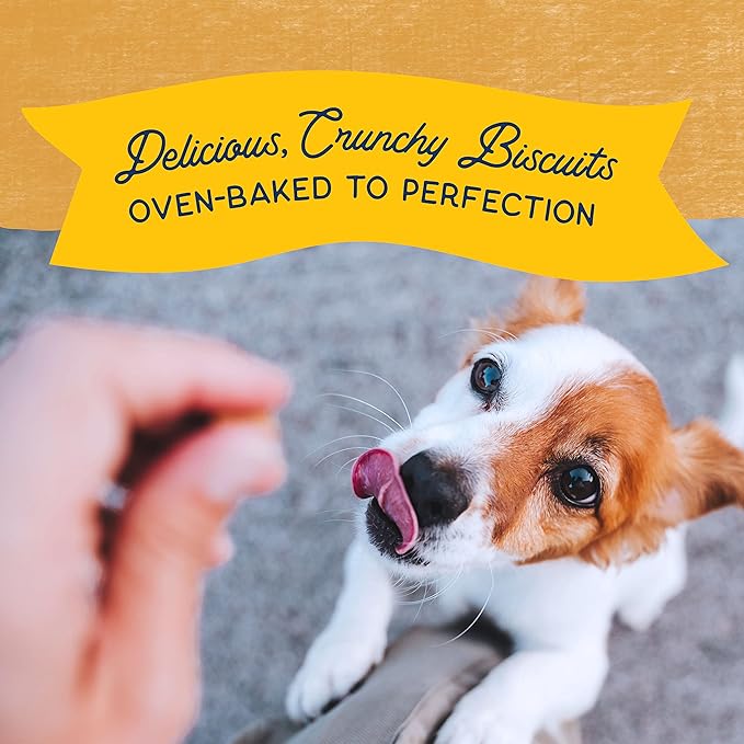 Natural Balance Limited Ingredient Rewards Crunchy Biscuits, Bite-Size Grain-Free Dog Treats for Small-Breed Dogs, Made with Real Duck, 8 Ounce (Pack of 2)