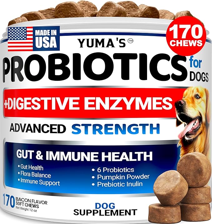 Probiotics for Dogs and Digestive Enzymes - 170 Dog Probiotics Chews - Dog Probiotic - Anti Diarrhea, Upset Stomach & Gas Relief, Canine Prebiotic - Pet Fiber Supplement - Bacon Flavor