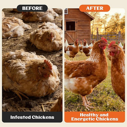 Miguelina Dewormer for Chickens and Poultry, Natural Formula, Vitamin for Roosters Turkeys, Safe for Laying Hens, 120 Tablets