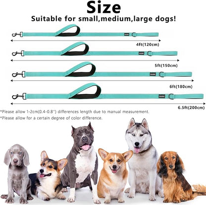 Dog Leash 6ft Long, Double Handle Dog Leash for Safety Control Training, Heavy Duty Dog Leads with Traffic Padded Handles, Reflective Leashes for Small Medium Large Dogs(6ft, Turquoise)
