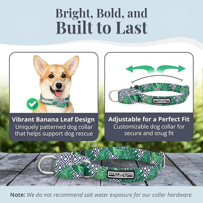 Lucky Love Dog Martingale Collar, Premium No Slip Martingale Collar for Small Boy Dogs, Great for Whippets, Greyhounds, and More (Small, Blue Laguna)