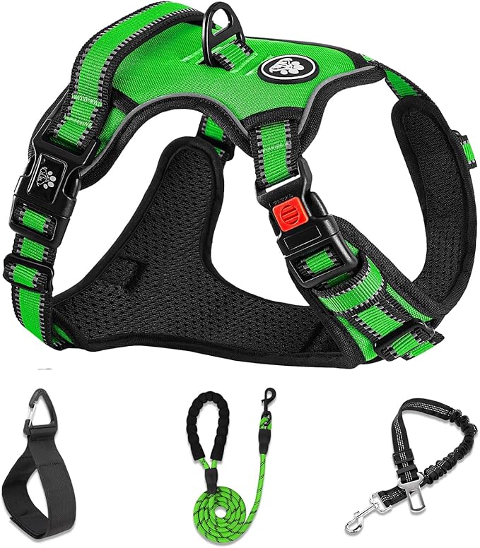 NESTROAD No Pull Dog Harness,Adjustable Oxford Dog Vest Harness with Leash,Reflective No-Choke Pet Harness with Easy Control Soft Handle for Large Dogs(Large,FluorescentGreen)