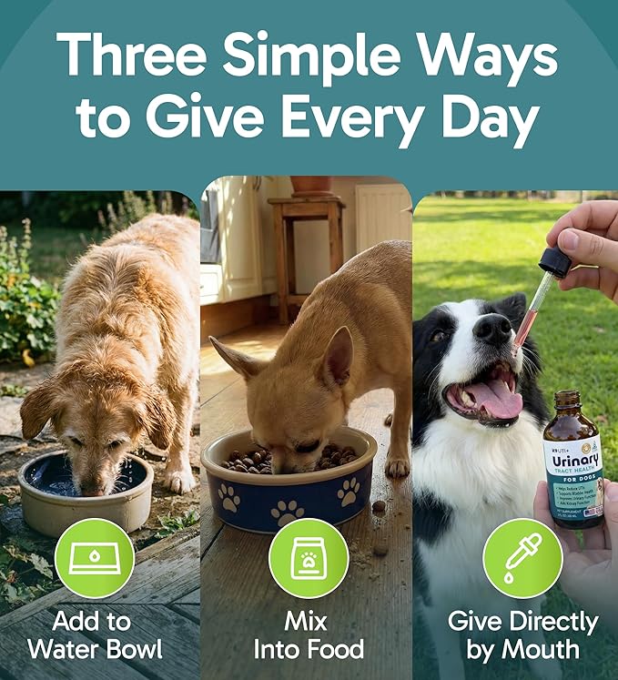 K9 UTI+ All-Natural Urinary Tract for Dogs, UTI, Bladder, Kidney and Incontinence Support, Dog UTI Treatment with Cranberry and D-Mannose, Easy-to-Use Drops for All Ages and Breeds, 2 fl oz