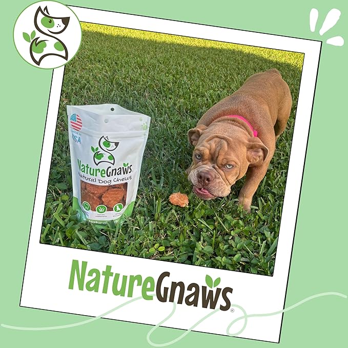Nature Gnaws USA Chicken Tenders (1Lb) - Delicious Grain-Free Dog Treats for Small, Medium & Large Breeds - Natural Jerky Chews for Dogs.