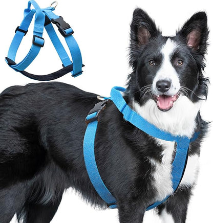 Galaxy Reflective Dog Harness,Adjustable 4-Point Fit,Anti-Pinch Buckles,Back-Clip Control & Emergency Handle,Velvet Lined for Small, Medium and Large Dogs, (Blue, M)