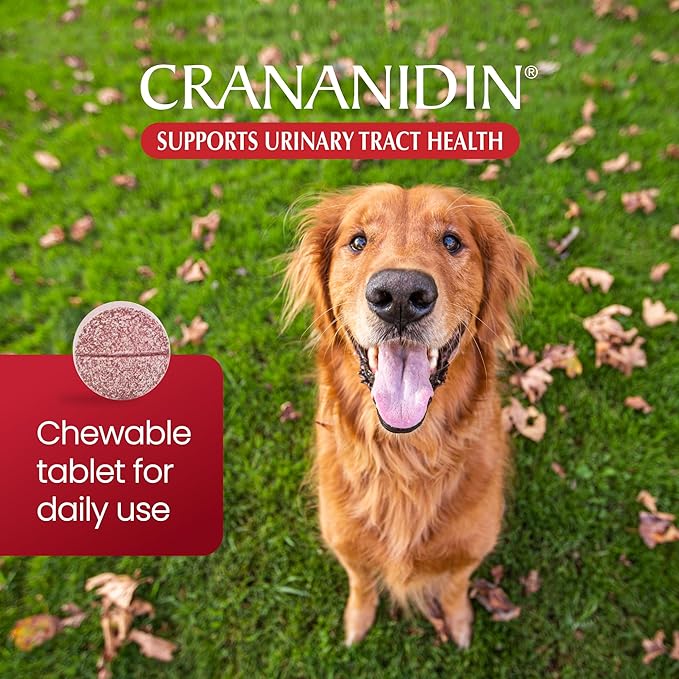 Crananidin Urinary Tract Health Supplement Chewable Tablets for Dogs, (Pack of 2)