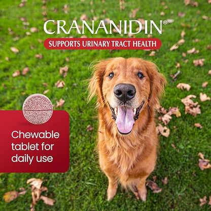Crananidin Urinary Tract Health Supplement Chewable Tablets for Dogs, (Pack of 2)