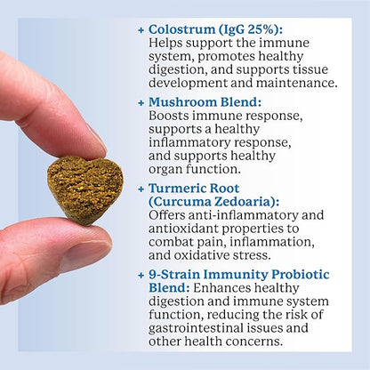 Dr. Harvey's Dog Allergy & Anti-Itch Relief Soft Chew Supplement Bites for Dogs, Daily Immune & Digestive Health Support with Functional Mushrooms, Super Herbs, Probiotics, Salmon Flavor (90 Chews)