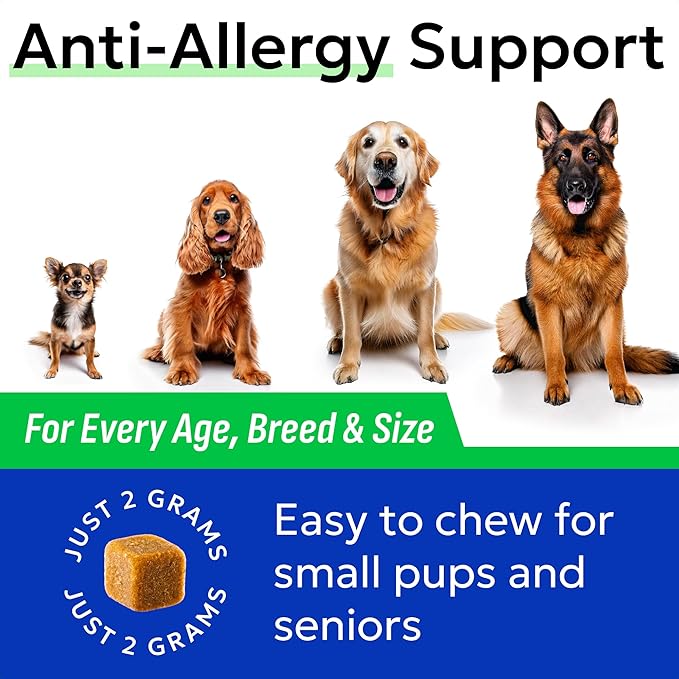BARK&SPARK Dog Allergy Relief Soft Chews for Skin Health & Seasonal Allergies - Anti-Itch Supplement w/Omega-3, Quercetin & Bromelain Immune Treats for Dry Skin & Hot Spots - Chicken - 60ct
