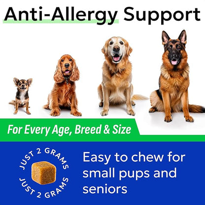 BARK&SPARK Dog Allergy Relief Soft Chews for Skin Health & Seasonal Allergies - Anti-Itch Supplement w/Omega-3, Quercetin & Bromelain Immune Treats for Dry Skin & Hot Spots - Chicken - 60ct