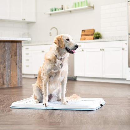 IRIS USA Pee Pad Holder for Dogs and Puppies, Potty Training Tray with Secured Latches, Non-Skid Feet, Leak Protection, Easy Clean Surface, Fits 28"x 34" Puppy Pads Size or Larger, Blue
