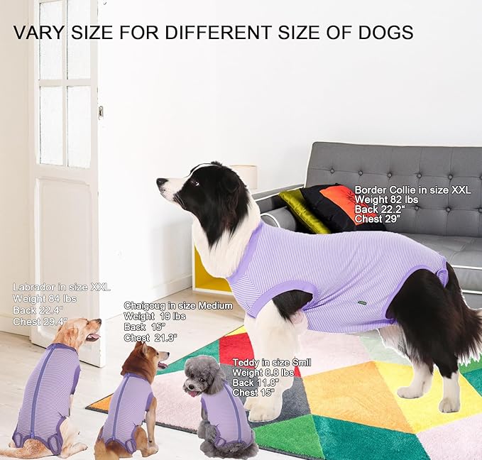 Dog Recovery Suit Purple Female Spay Surgical Medium Shirt, Male Surgery Recovery Suit,Purple-White Striped M
