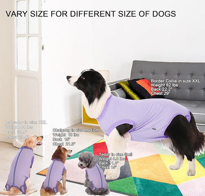 Dog Recovery Suit Purple Female Spay Surgical Medium Shirt, Male Surgery Recovery Suit,Purple-White Striped M
