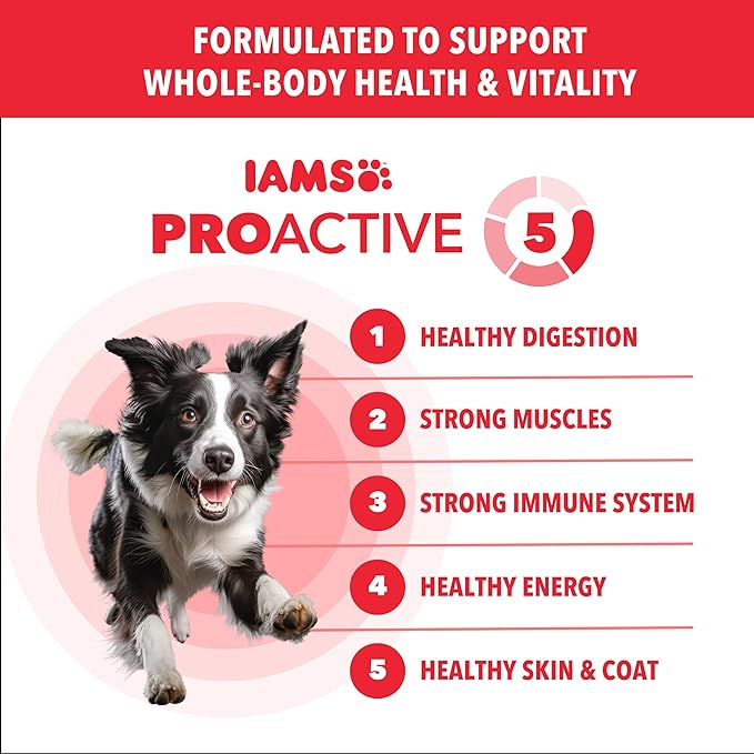 IAMS Proactive Health Adult Minichunks Dry Dog Food Lamb & Rice Recipe, 38.5 lb. Bag