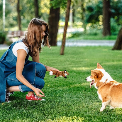 ALL FOR PAWS Squeaky Doy Toy, Fox Dog Toy for Small Medium Large Breed, Puppy Fetch Toy with Squeaker, Plush Chew Dog Toy, Classic S