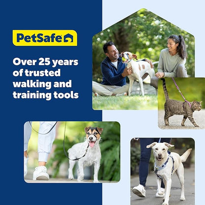 PetSafe Easy Walk Deluxe Dog Harness, No Pull Dog Harness – Perfect for Leash & Harness Training – Stops Pets from Pulling and Choking on Walks – Medium, Apple