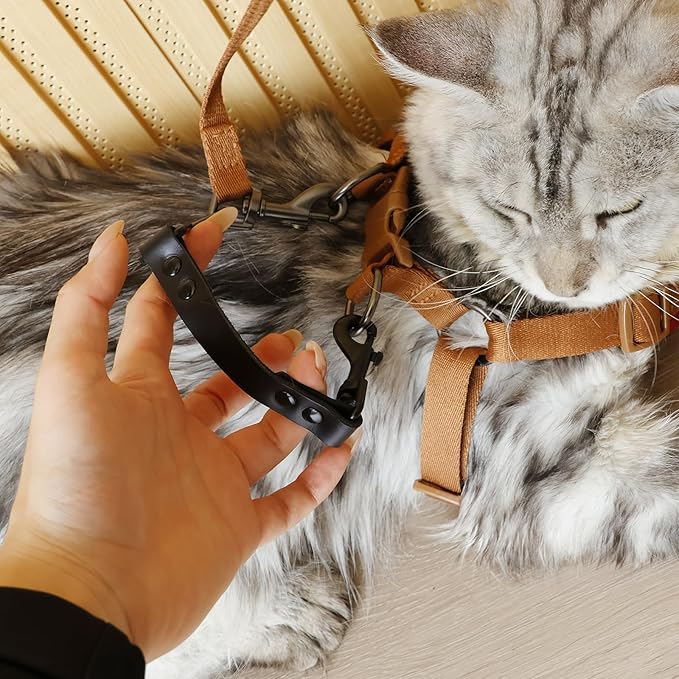 Dog Safety Clip for Prong Collar, Waterproof Leash Backup Clip Connector, Dual Clasps Rotating Buckle for Pinch Collar (2 Pcs)
