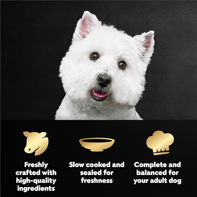 Cesar Filets in Gravy Wet Dog Food, Filet Mignon Flavor, Wet Food for Dogs, 1.76 oz. Mini-Pouches, 20 Count