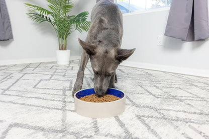 SPOT Standard Crock Dish - Heavy Duty, Non-Slip, Round Ceramic Food/Water Bowl for Pets, Ideal for Medium to Large Dogs or Multiple Animals, Dishwasher Safe - 9.5 in, 8 Cups, (64 Oz)