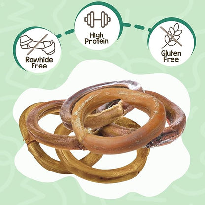 Nature Gnaws Bully Stick Rings for Dogs (5 Count) - Long Lasting for Aggressive Chewers - Natural Beef Dog Chew Bones - Rawhide Free