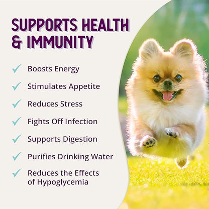 Health Extension Stress Relief Supplement for Dogs, 4oz - Appetite & Energy Boost, Prevents Hypoglycemia, Enriched with Vitamin B