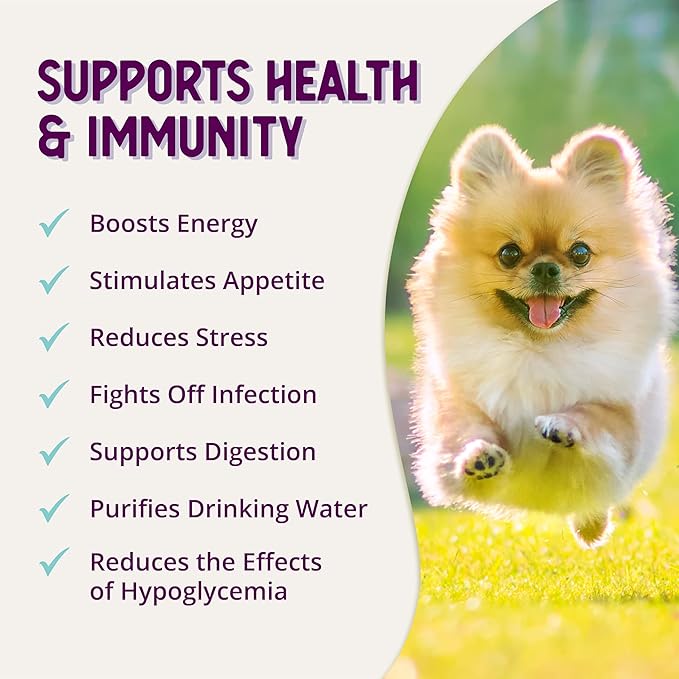 Health Extension Stress Relief Supplement for Dogs, 8oz - Appetite & Energy Boost, Prevents Hypoglycemia, Enriched with Vitamin B