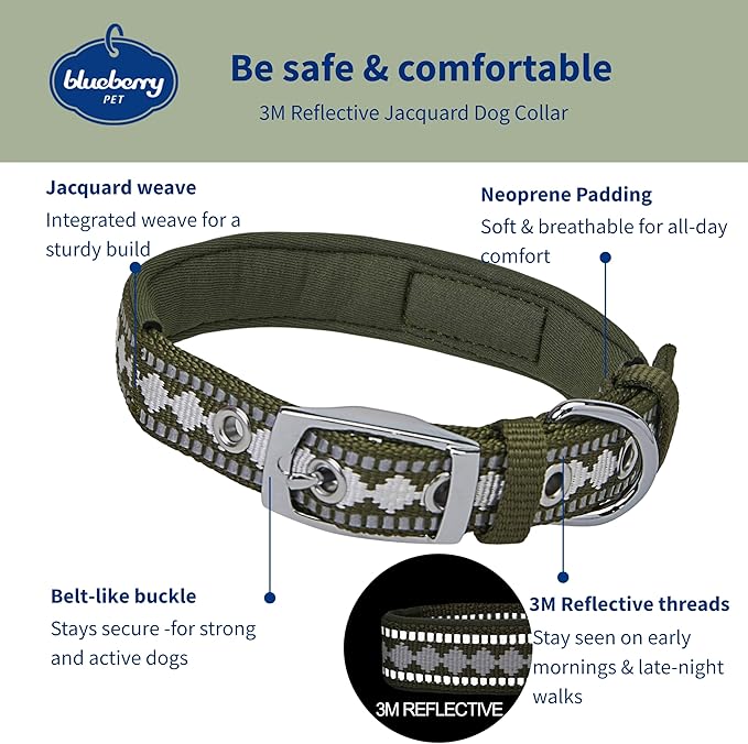 Blueberry Pet Reflective Jacquard Dog Collar with Neoprene Padding & Metal Buckle | Soft & Adjustable Safety Collar - Olive, Neck 13-16.5", for Medium Breed