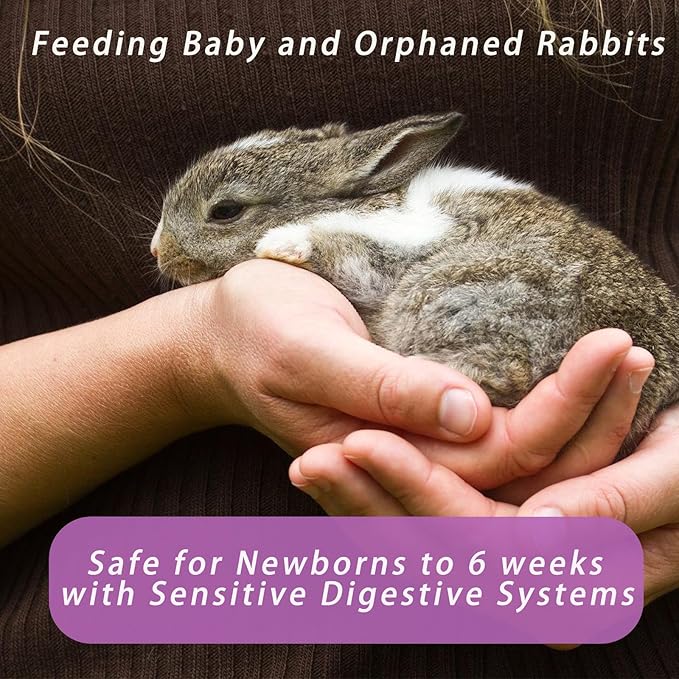 Rabbit Milk Replacer, 200 Grams Bunny Milk Replacement - High-Protein Formula for Newborn Bunnies & Orphaned Baby Rabbits, Supports Gut Health and Digestion