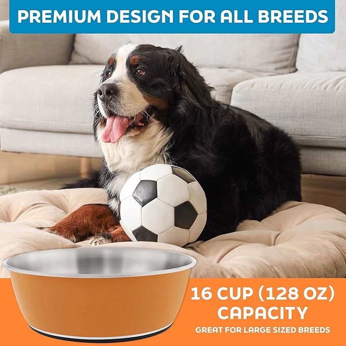 Master Pet Supply Stainless Steel Dog Bowls Set of 2 (128 Oz Each) with Non-Slip Rubber Base - Mango Tango - Basic Dog Food Bowl Water & Food Bowls for Small Medium Large Dogs & Cats, Metal Dish