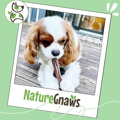 Nature Gnaws Beef Gullet Sticks for Dogs 5-6" (1Lb) - Natural Beef Jerky Stick Dog Chew Treats - Rawhide Free