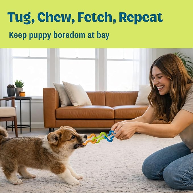 Bone Tugz Tug & Chew Dog Toy — Bendy, Textured Rubber for Tug-of-War, Light-Moderate Chewers, Teething Puppies & Small Dogs, 6.25" x 1.75"